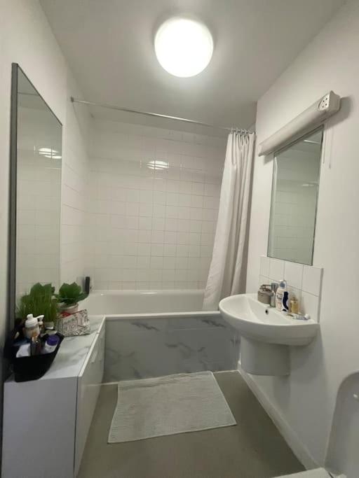 Spacious One Bedroom Ft In King's Cross Appartamento